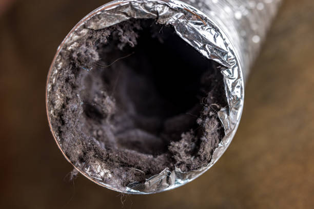 Best HVAC Air Duct Cleaning  in White Hall, WV
